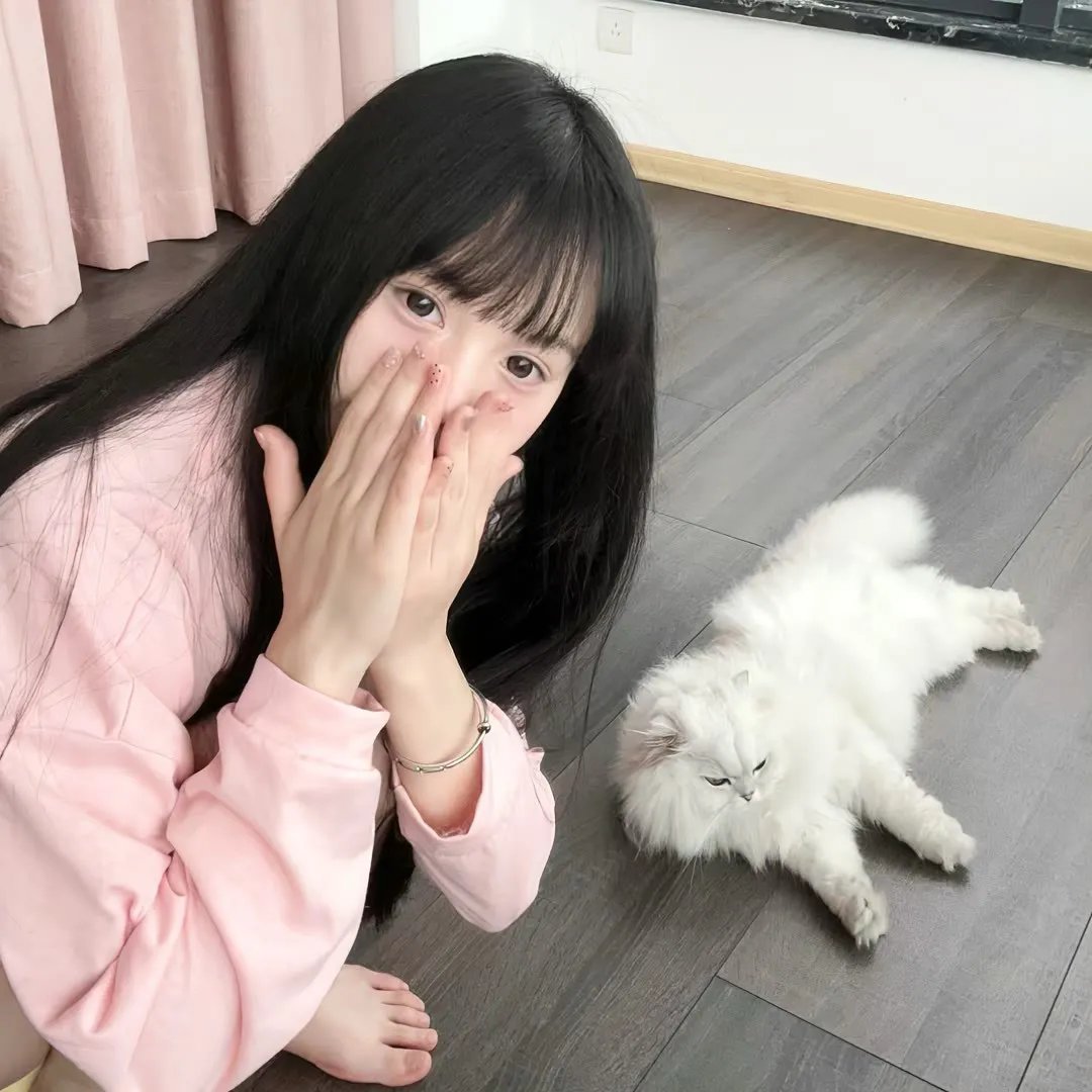 神秘岛:胜者为王